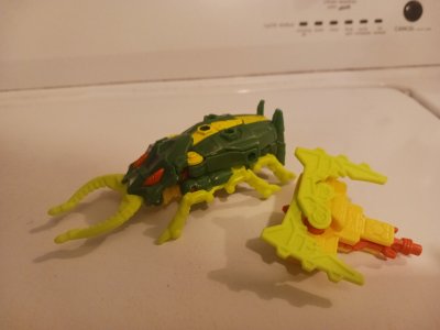 20250907_193029.jpg