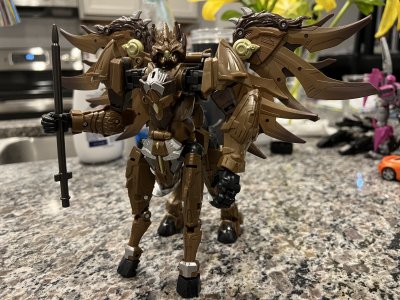 IMG_3341.jpeg