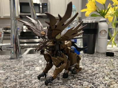 IMG_3342.jpeg