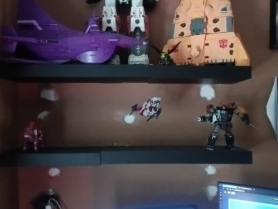 20251012_131135.jpg