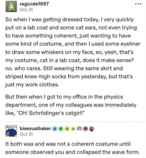 schrodingerscatgirl.png