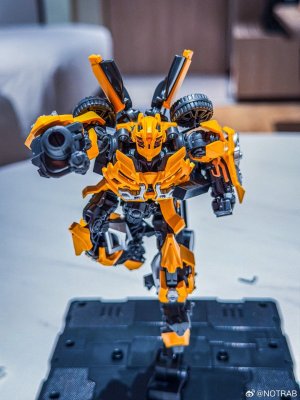 BLokees-Classic-Class-DOTM-Bumblebee-11.jpg