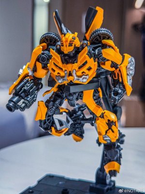 BLokees-Classic-Class-DOTM-Bumblebee-10.jpg