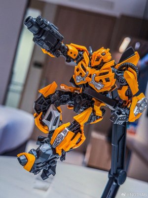 BLokees-Classic-Class-DOTM-Bumblebee-09.jpg