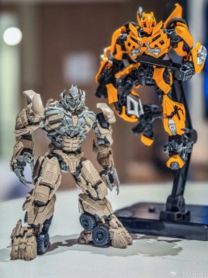 BLokees-Classic-Class-DOTM-Bumblebee-14.jpg