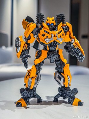 BLokees-Classic-Class-DOTM-Bumblebee-07.jpg