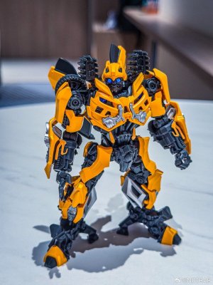 BLokees-Classic-Class-DOTM-Bumblebee-04.jpg