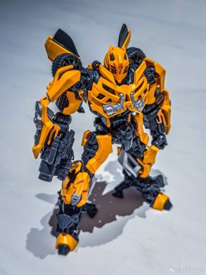 BLokees-Classic-Class-DOTM-Bumblebee-03.jpg