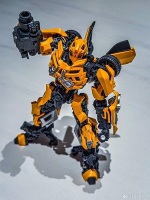 BLokees-Classic-Class-DOTM-Bumblebee-02.jpg
