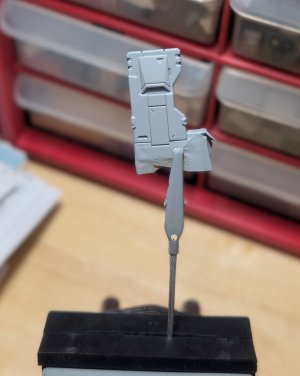 primed shin.jpg