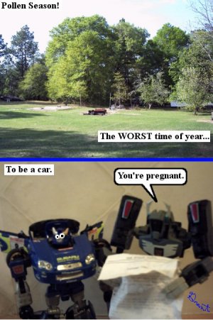 TimeOfYear.JPG