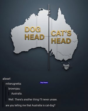 Australiaiscatdog.jpg