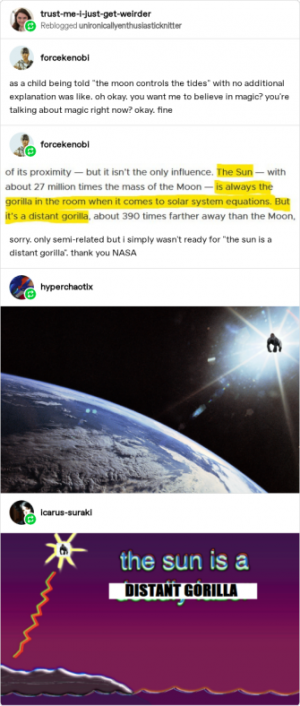 thesunisadistantgorilla.png