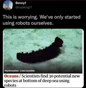 1000004340.jpg