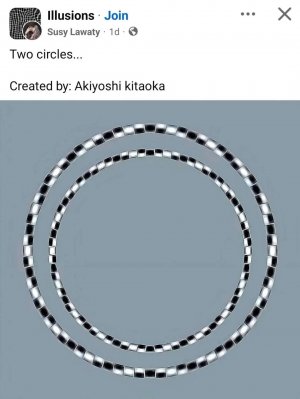1000004433.jpg