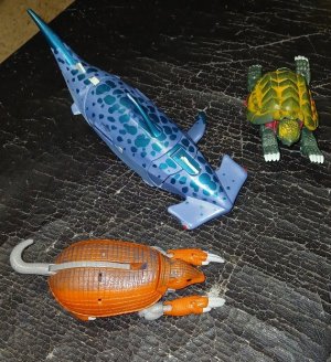 20260630_111030.jpg