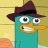 PerryThePlatypus